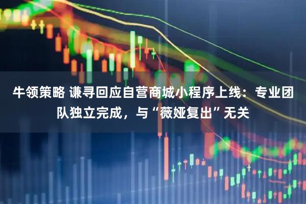 牛领策略 谦寻回应自营商城小程序上线：专业团队独立完成，与“薇娅复出”无关