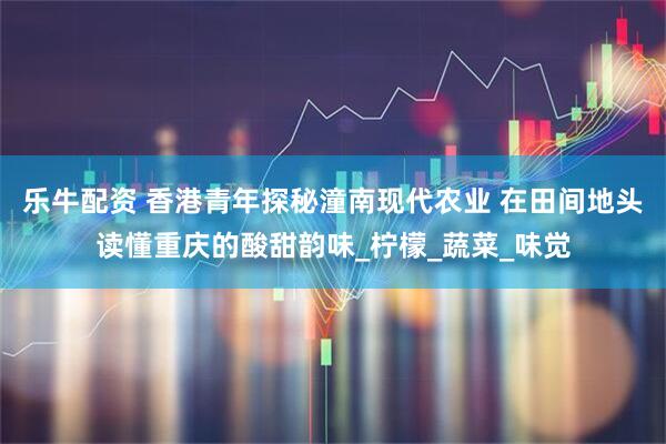 乐牛配资 香港青年探秘潼南现代农业 在田间地头读懂重庆的酸甜韵味_柠檬_蔬菜_味觉