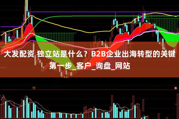 大发配资 独立站是什么？B2B企业出海转型的关键第一步_客户_询盘_网站