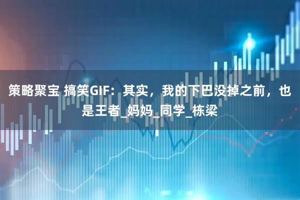 策略聚宝 搞笑GIF：其实，我的下巴没掉之前，也是王者_妈妈_同学_栋梁
